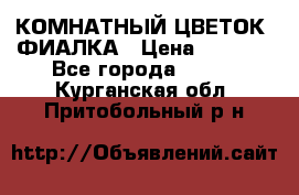 КОМНАТНЫЙ ЦВЕТОК -ФИАЛКА › Цена ­ 1 500 - Все города  »    . Курганская обл.,Притобольный р-н